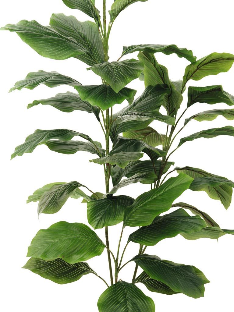 Europalms Immergrün, 3 Äste, 150cm, Kunststoff