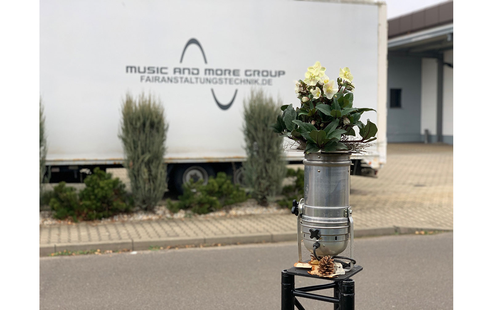 Soli-Kanne "Christrose" - NUR SELBSTABHOLUNG!