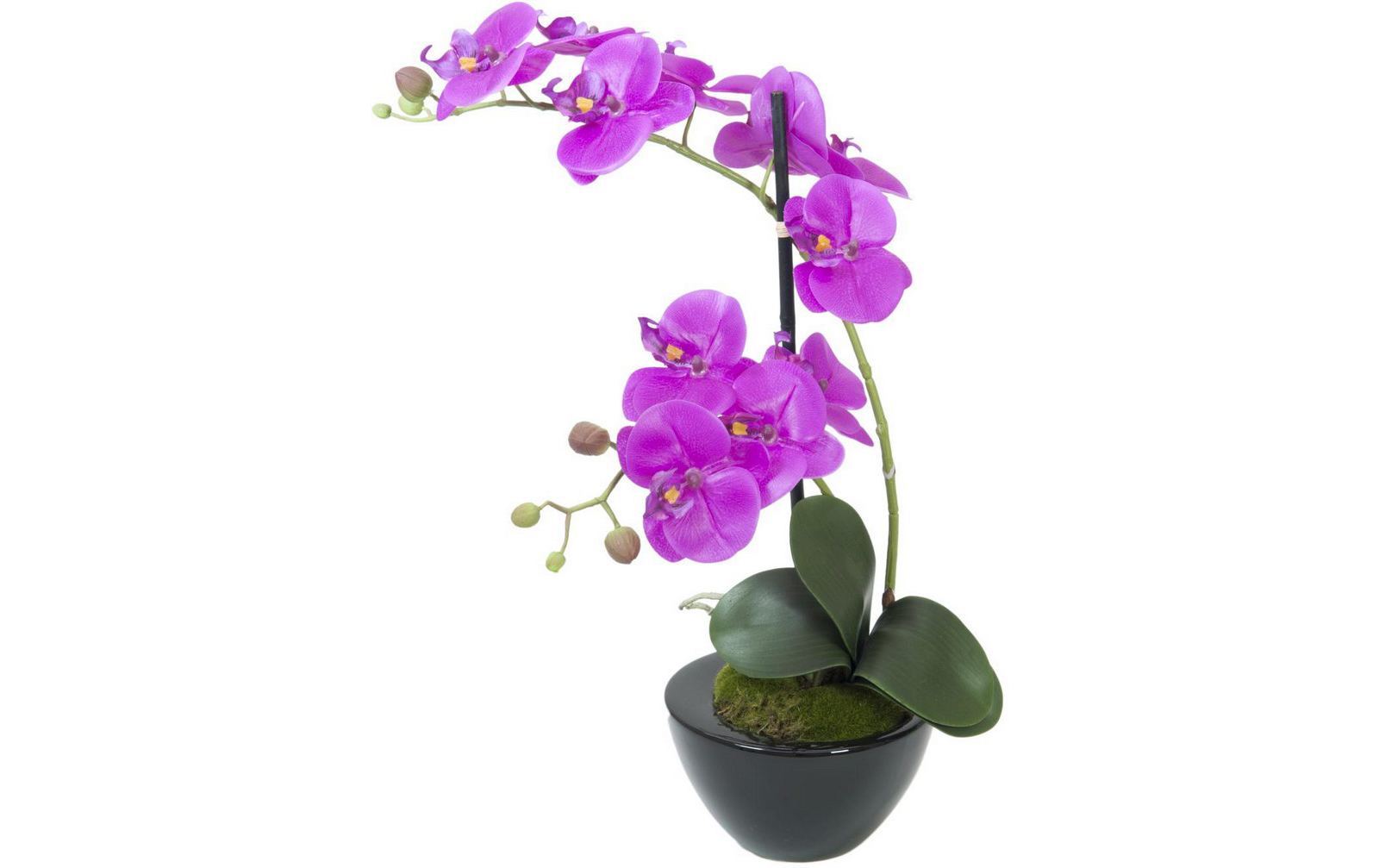 Europalms Orchideen-Arrangement 4, Kunststoffpflanze