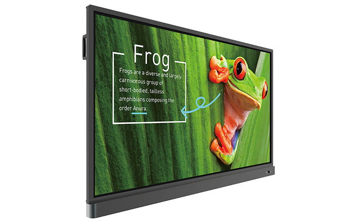 BenQ RM7501K ProAV-Display