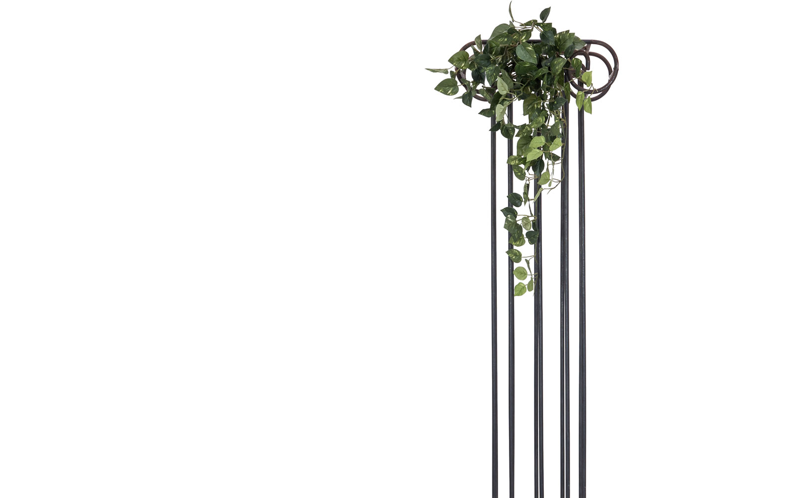 Europalms Pothosbuschranke Classic, 60cm, Kunststoff