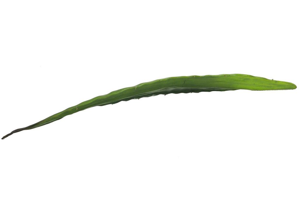 Europalms Aloeblatt (EVA), grün, 60cm, Kunststoff