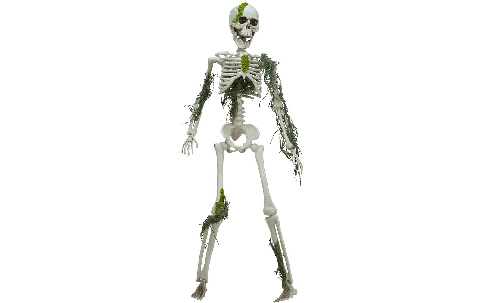Europalms Halloween Skelett mit Moos, 40cm
