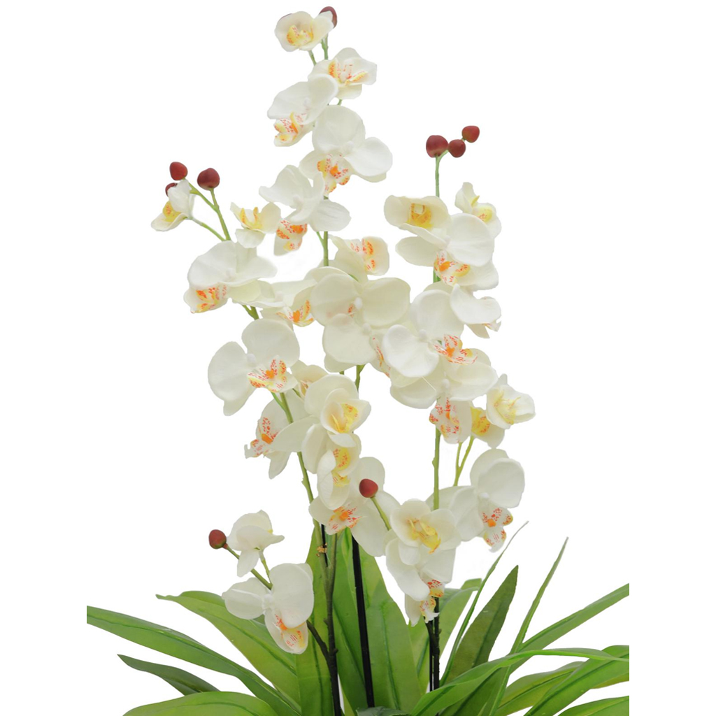 Europalms Orchidee, weiß, 80cm, Kunststoff