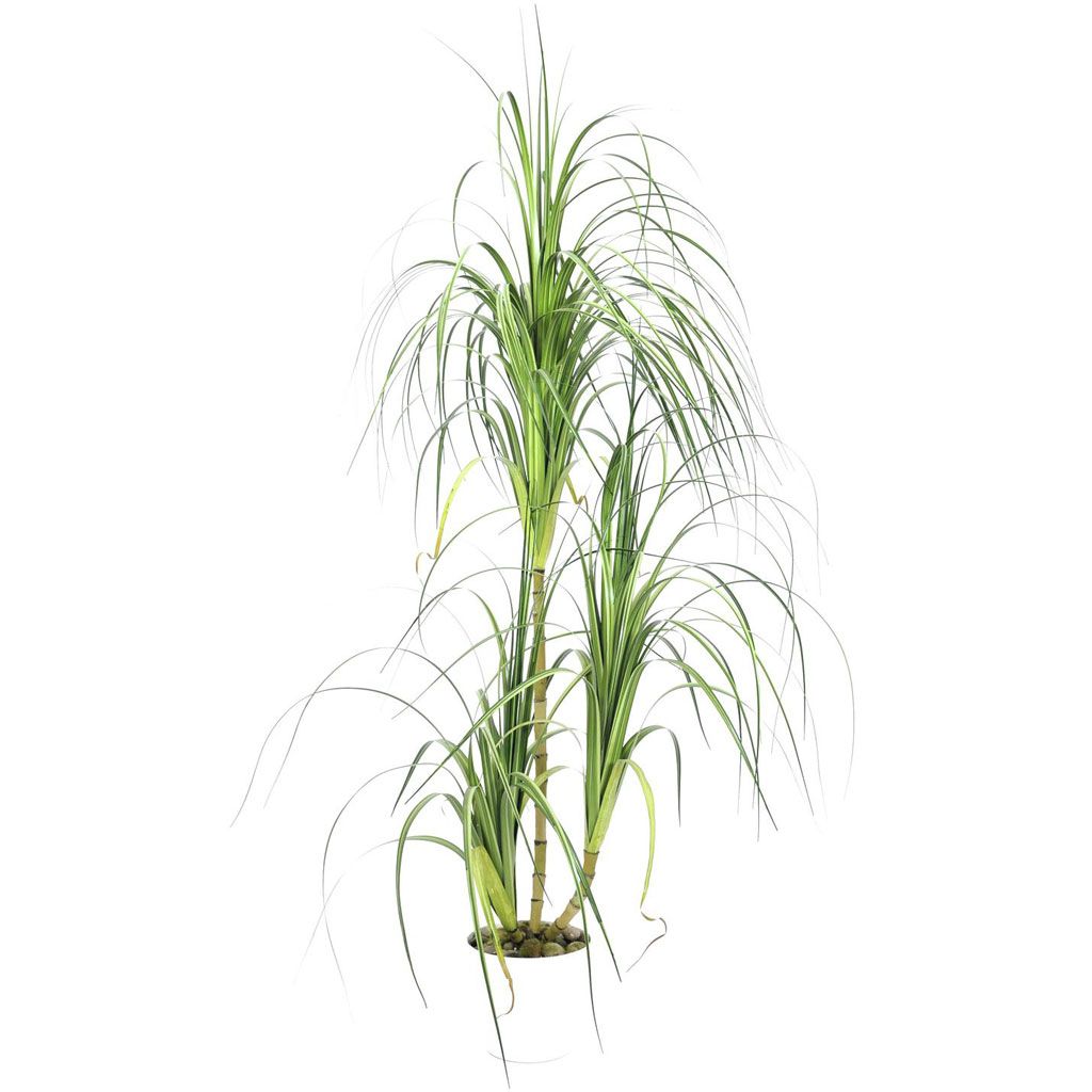 Europalms Dracenabusch, 160cm, Kunststoff