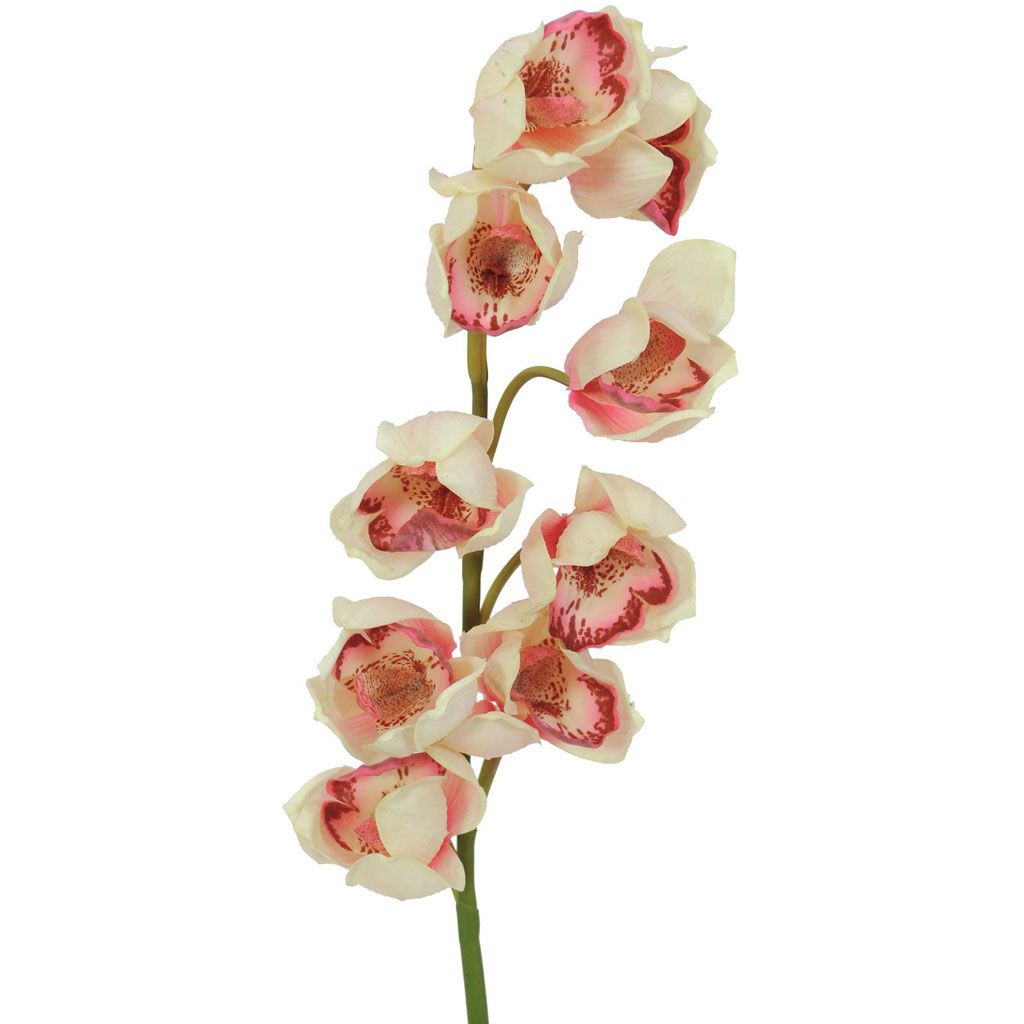 Europalms Cymbidiumzweig, creme-pink, 90cm, Kunststoff
