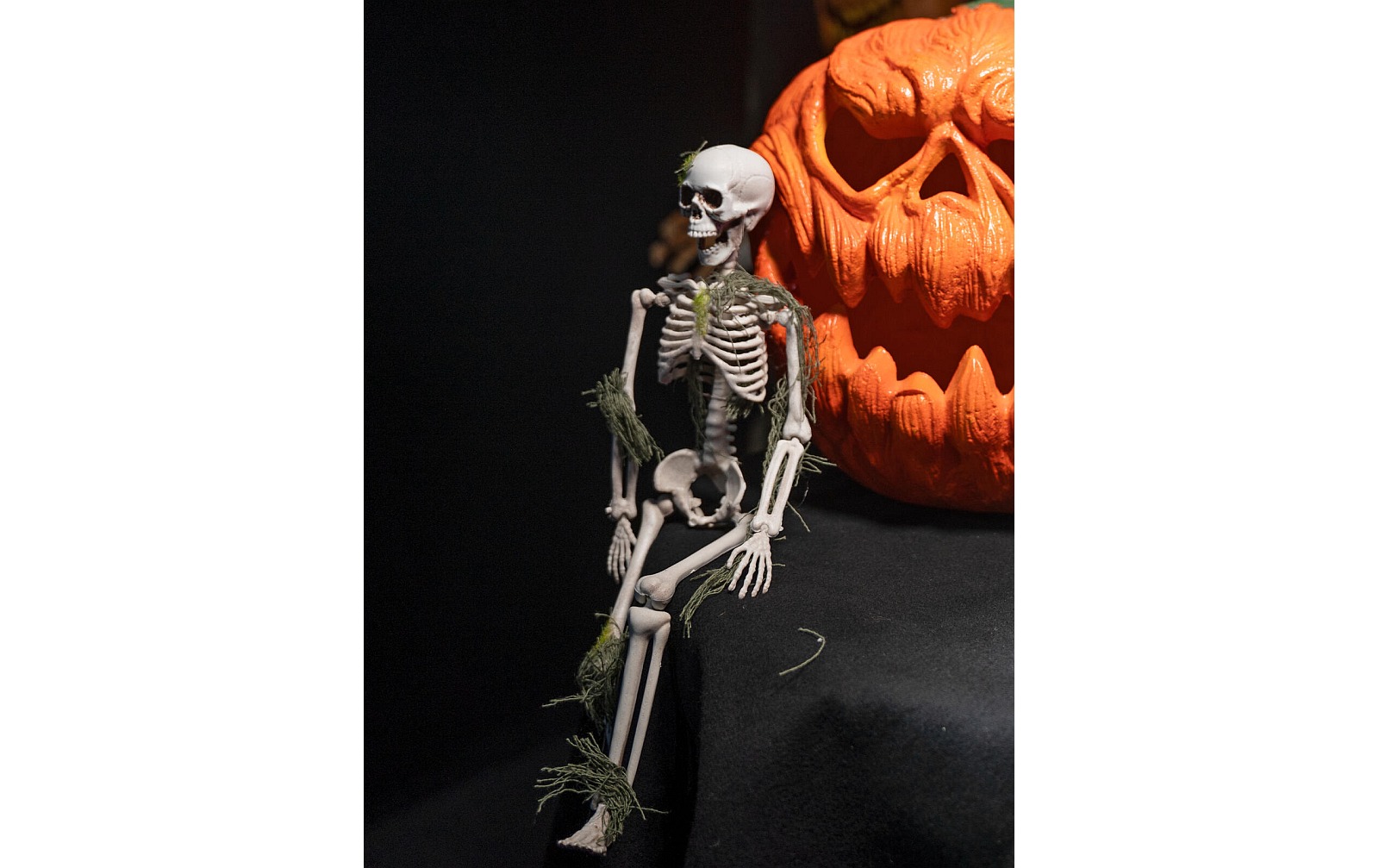 Europalms Halloween Skelett mit Moos, 40cm