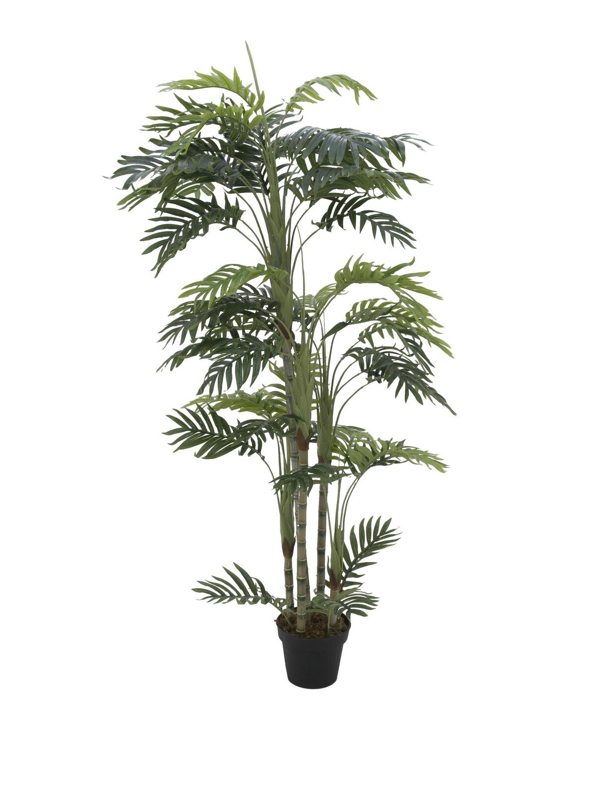 Europalms Phönixpalme 170cm, Kunststoff