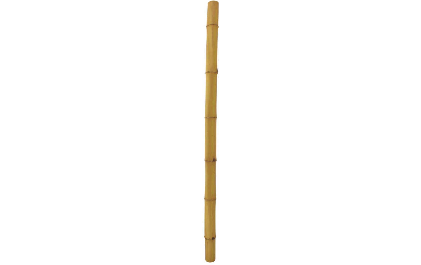 Europalms Bambusrohr, Ø=12cm, 200cm