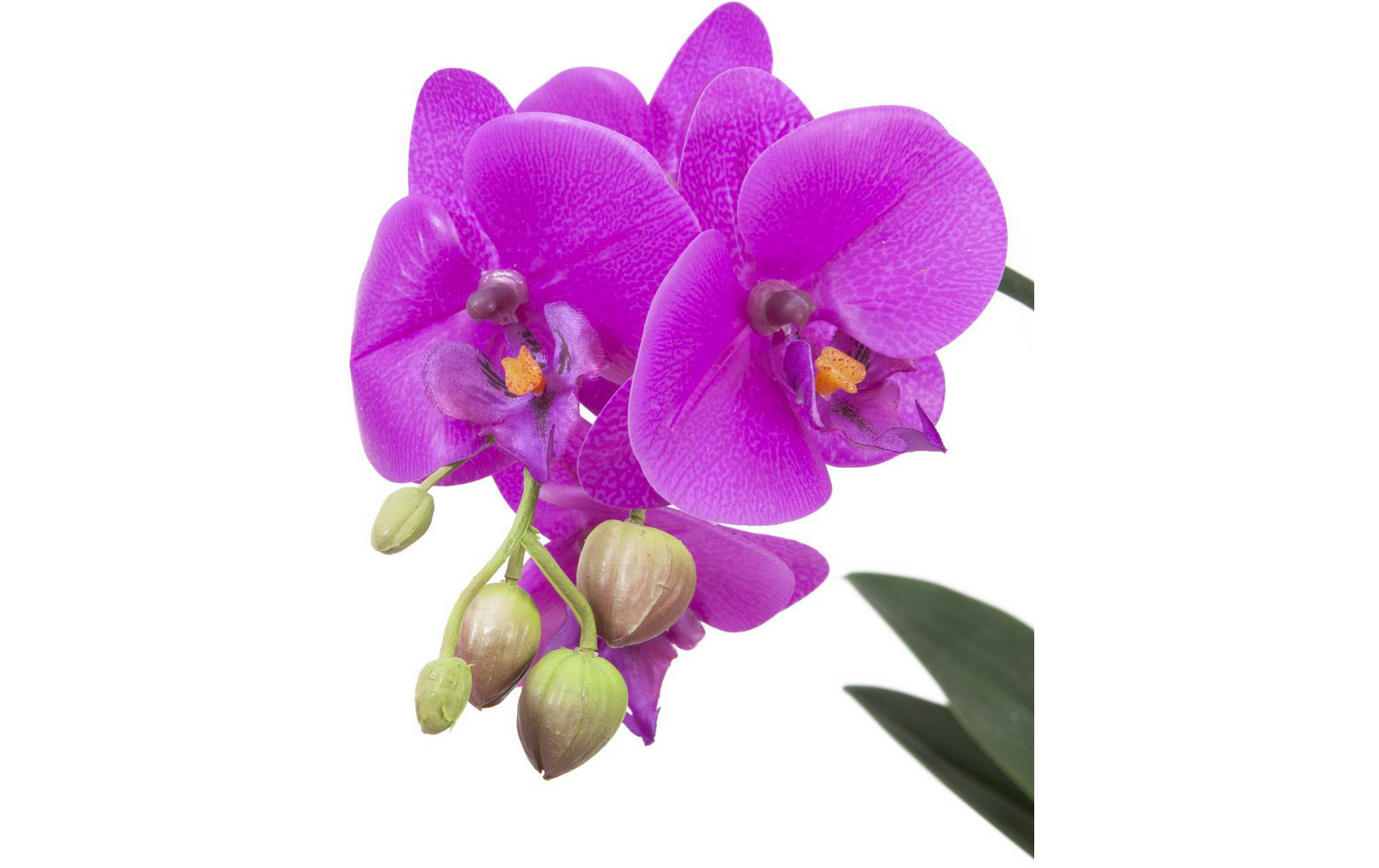 Europalms Orchideen-Arrangement 3, Kunststoffpflanze