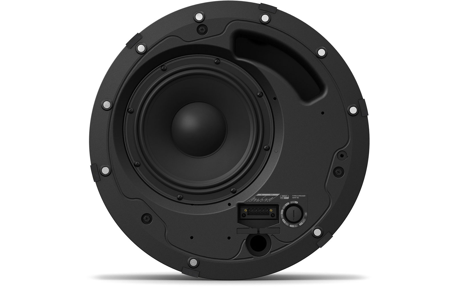Bose Pro DesignMax DM8C weiß, Stück