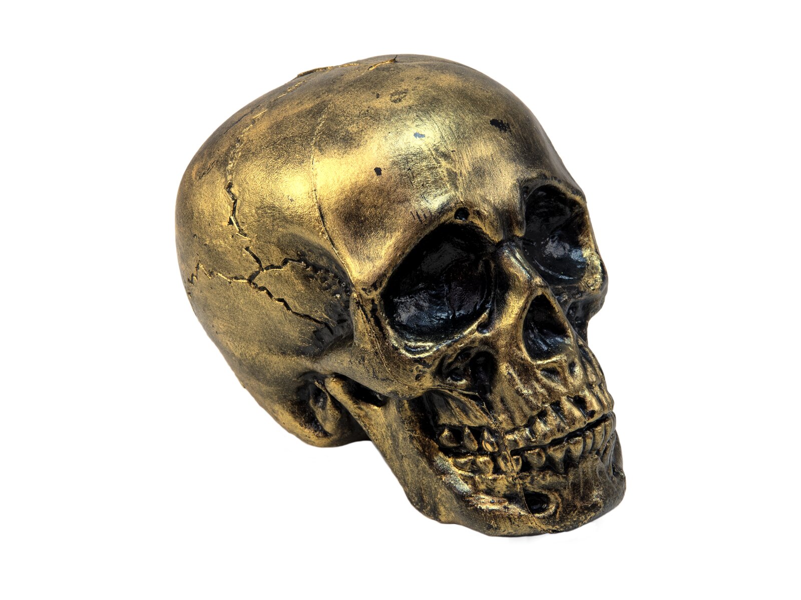 Europalms Halloween Totenkopf, gold