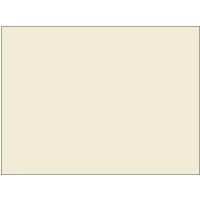 KNIT-VELOUR CHAMPAGNER B1