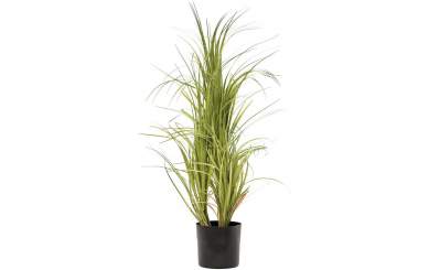 Europalms Dracenabusch mit schwarzen Topf, 80cm, Kunststoffpflanze
