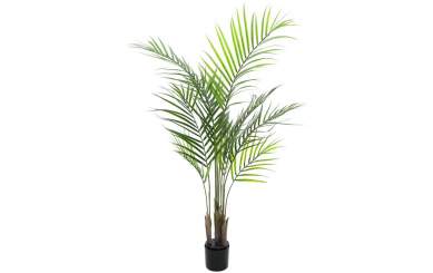 Europalms Großblatt-Areca, 125cm, Kunststoffpflanze