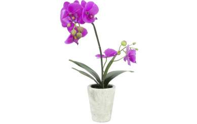 Europalms Orchideen-Arrangement 3, Kunststoffpflanze