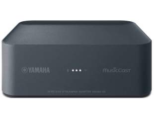 Yamaha MusicCast WXAD-10 Netzwerk-Audio-Player - Grau