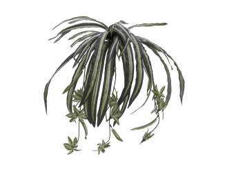 Europalms Grünlilie, 60cm, Kunststoff