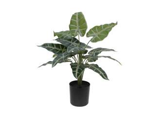 Europalms Caladium, Kunstpflanze, 38cm