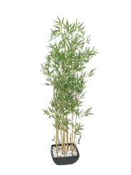 Europalms Zierbambus in Dekoschale, 150cm, Kunststoffpflanze