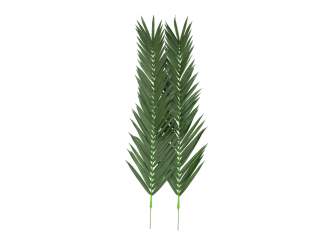 Europalms Kokos-Königspalmwedel, künstlich, 210cm