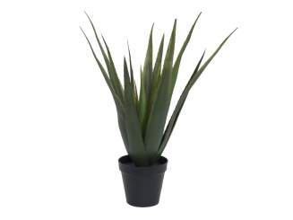 Europalms Aloe-Vera Pflanze, 60cm, Kunststoffpflanze