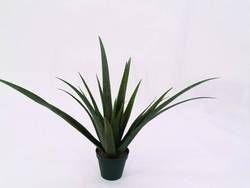 Europalms Aloe-Vera-Pflanze 24 Blätter 79 cm, Kunstoff